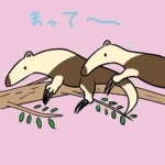 アリクイ